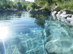 Cottonwood Hot Springs Buena Vista CO