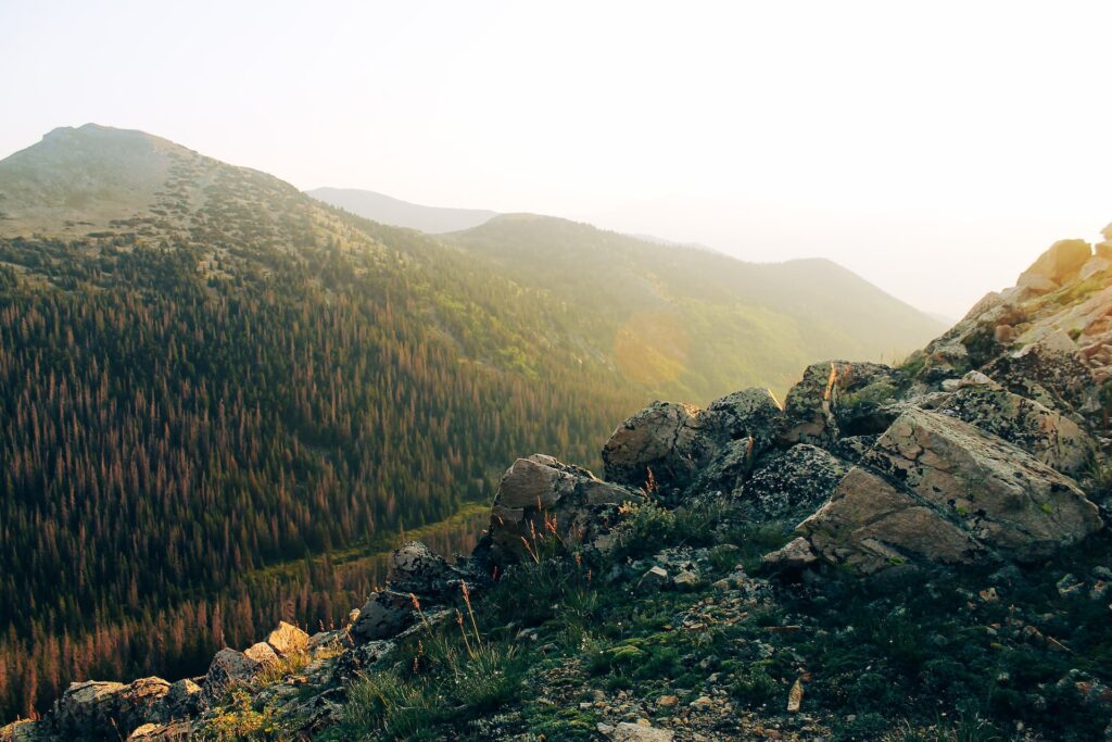 Photo of Mount Yale covered in evergreen trees with large rocks in the foreground.